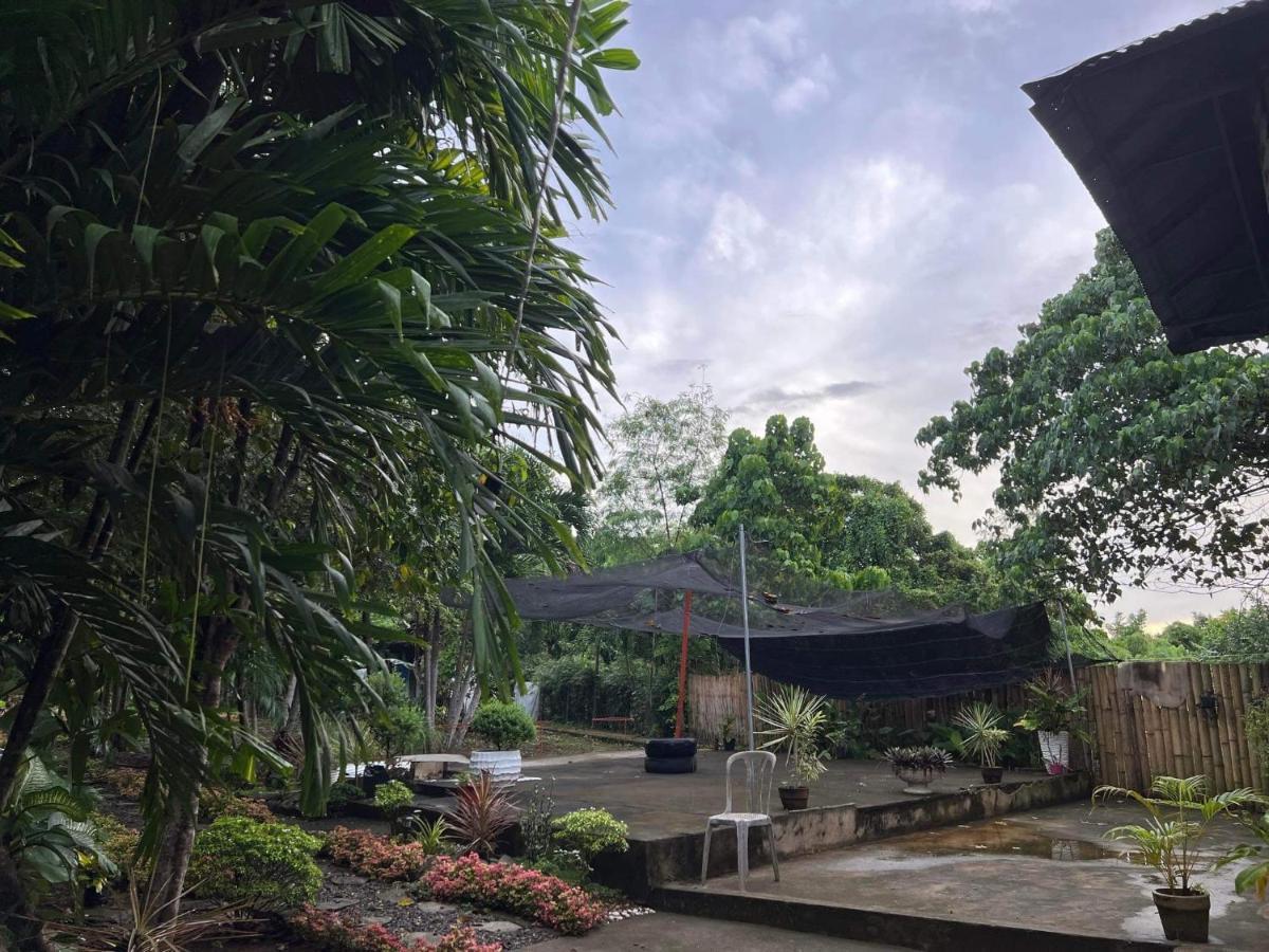 Bohol Island Homestay Dauis Exteriér fotografie