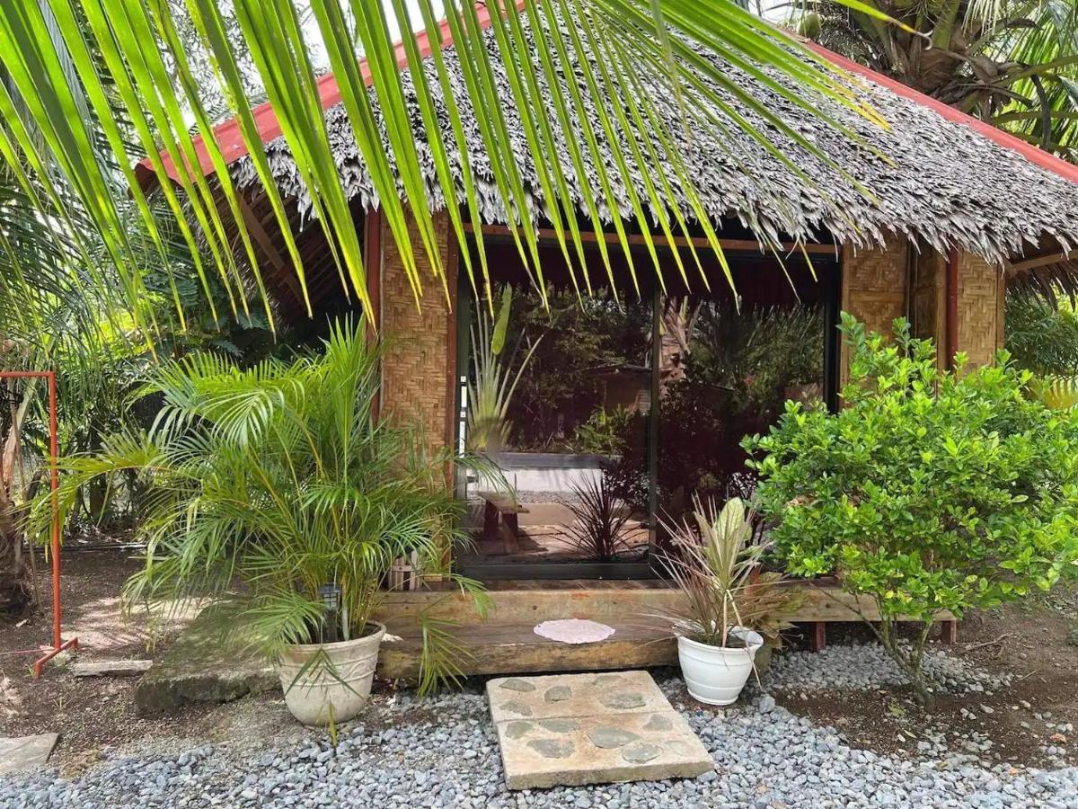 Bohol Island Homestay Dauis Exteriér fotografie
