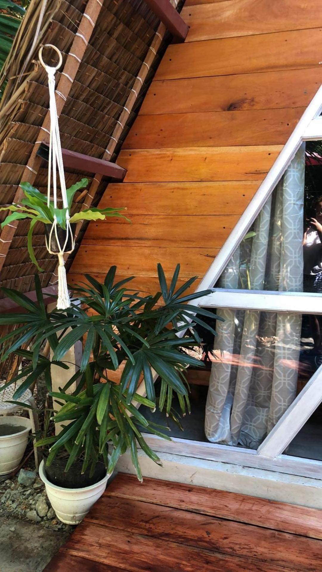 Bohol Island Homestay Dauis Exteriér fotografie
