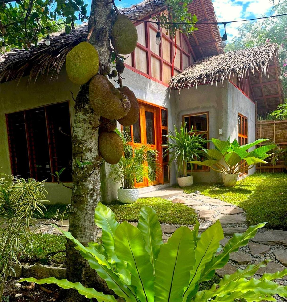 Bohol Island Homestay Dauis Exteriér fotografie