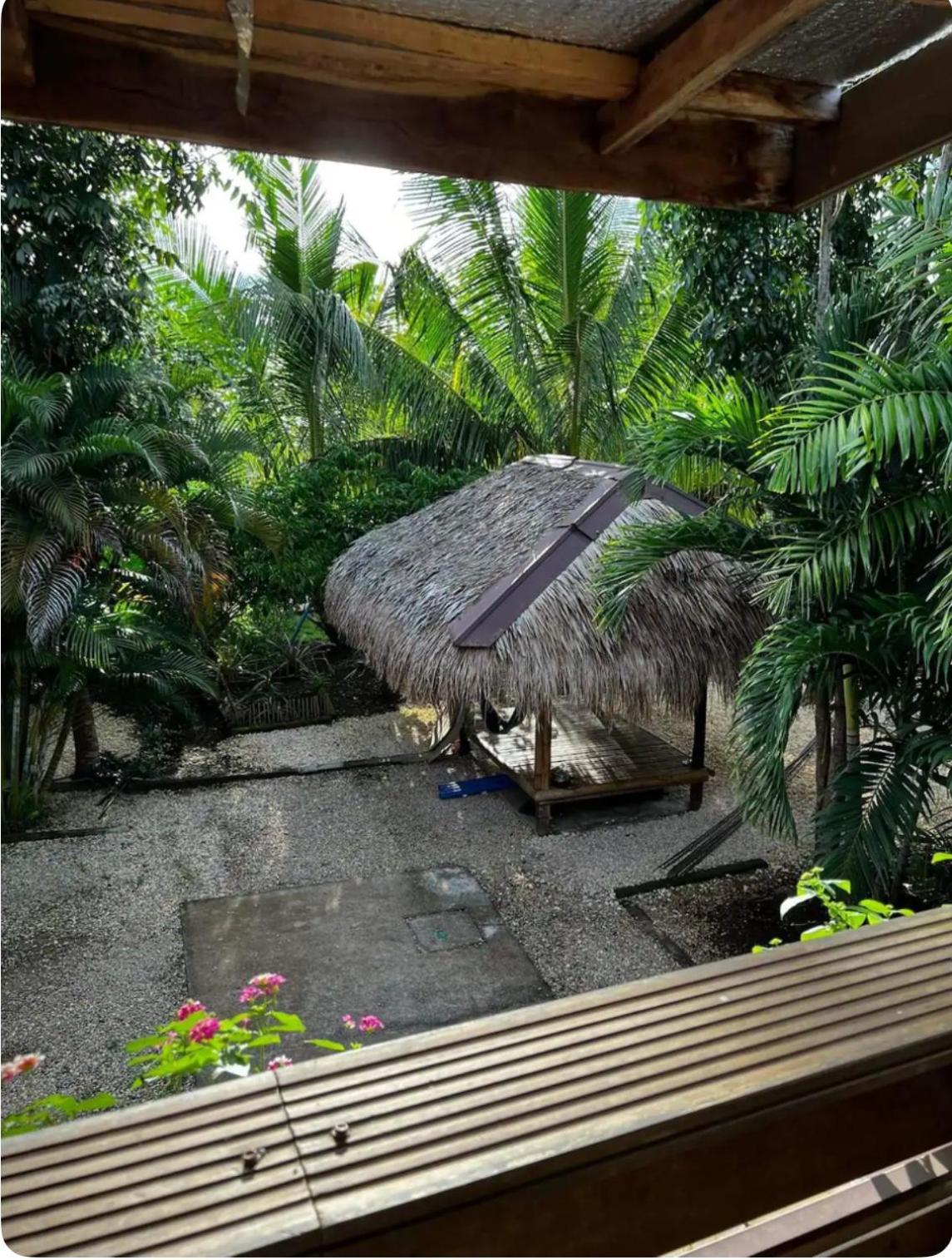 Bohol Island Homestay Dauis Exteriér fotografie