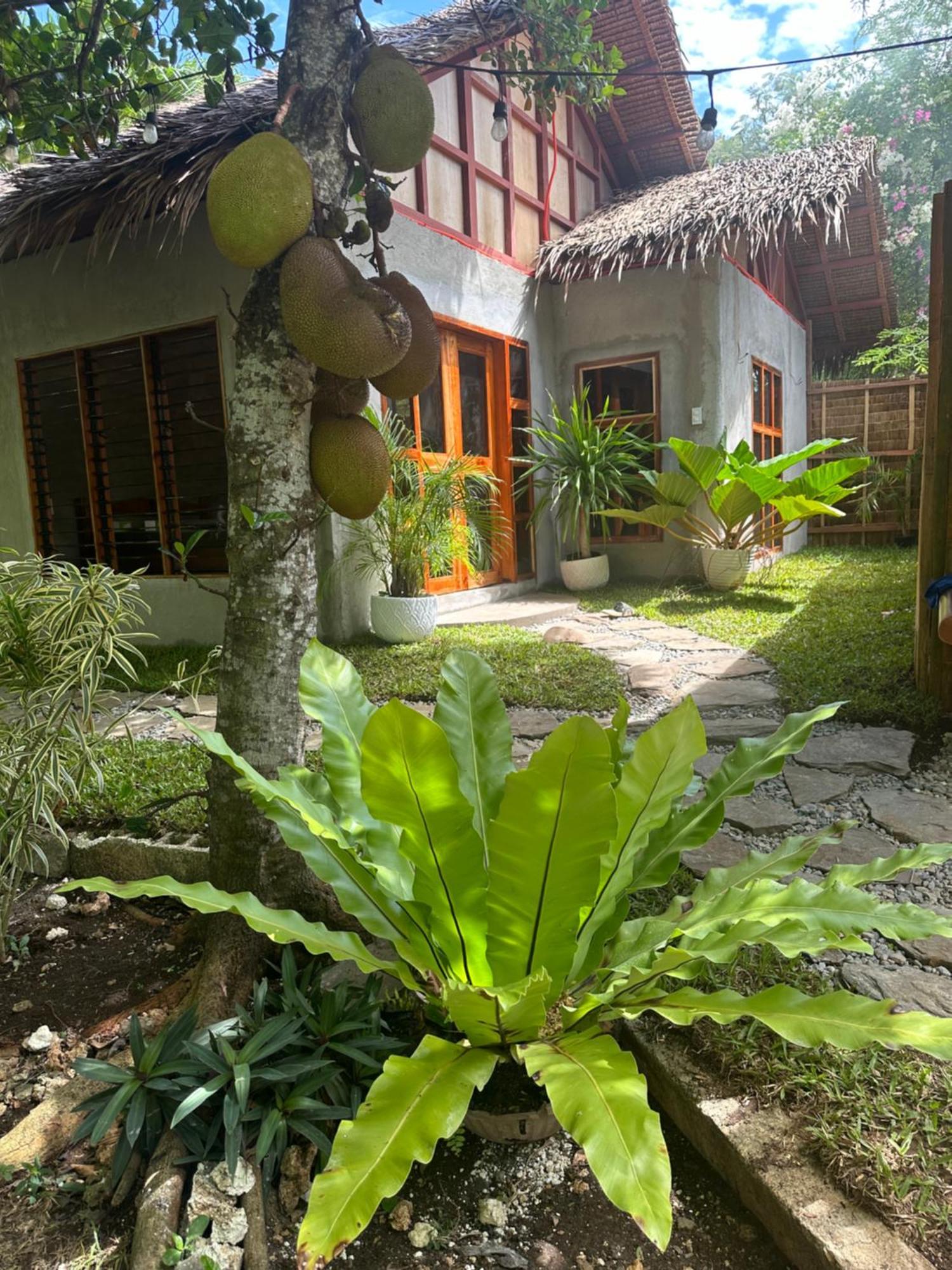 Bohol Island Homestay Dauis Exteriér fotografie